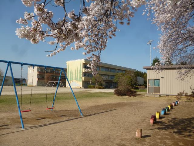 桜・校舎