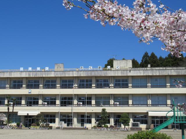 校舎と桜３