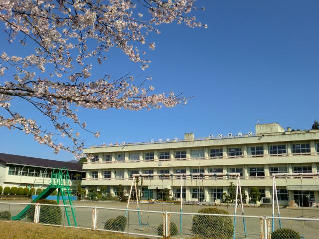 校舎と桜２