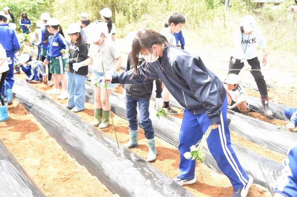 林小学校 | 林小学校公式ホームページ