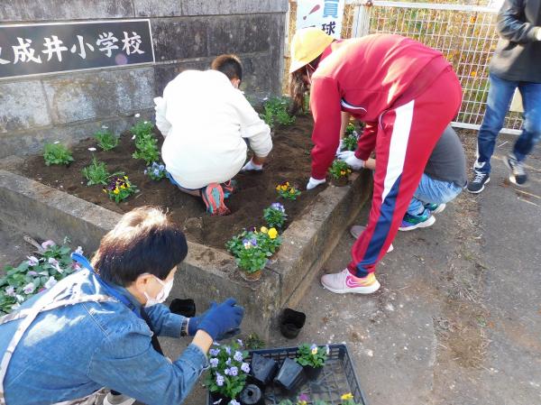 委員会活動（環境・ボランティア委員会）とボランティアの方々とで花植えを行いました。